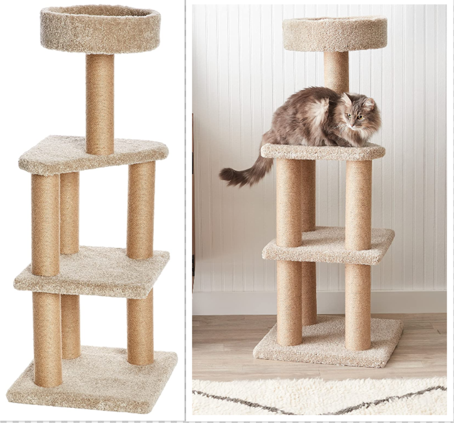 Amazon Basics Cat Tree for Ragdolls